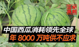 河北吃瓜爆料是真的吗,真相揭秘，是真是假？