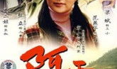 阿霞电视剧,平凡人生中的不平凡传奇