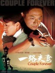 一路夫妻电视剧,携手共度风雨情